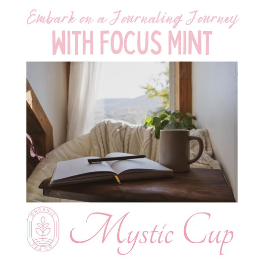 Journaling Journey to Find Clarity with Focus Mint